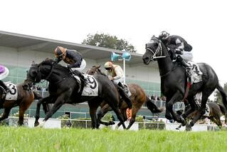 Our Abbadean (NZ) Scores Group 2 Win